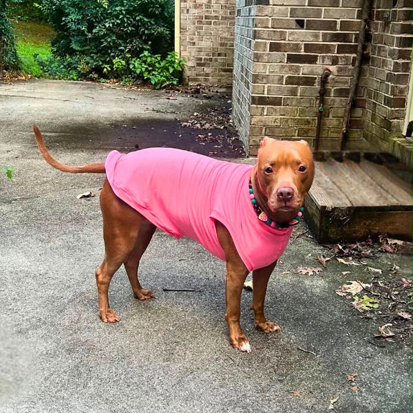Heather Neon Pink Everyday Shirt