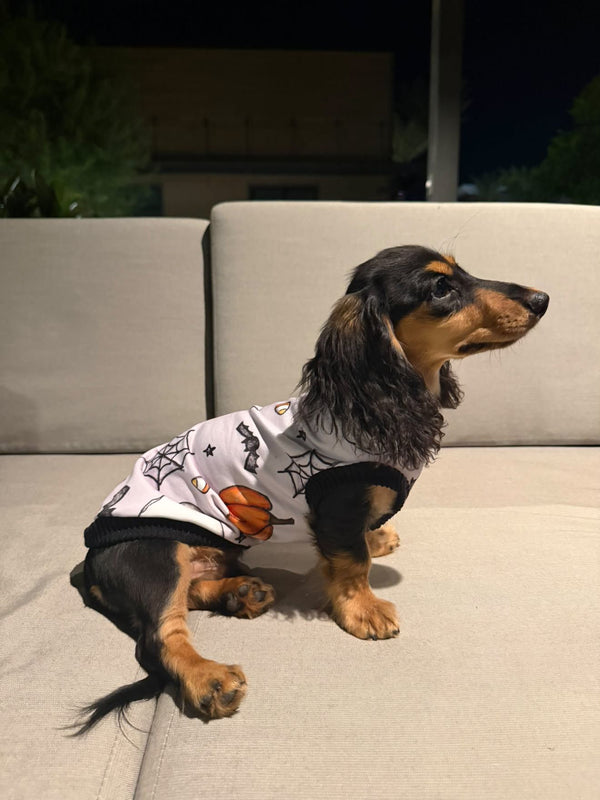 Haunted Harvest Sweatshirt