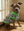 Oogie's Parlor Bamboo Shirt
