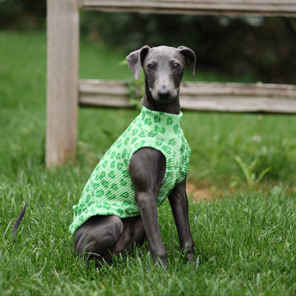 Sour Apple Leopard Ridge Shirt