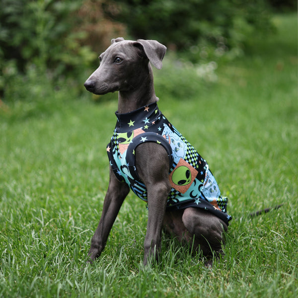 Alien Patches Sol Shirt