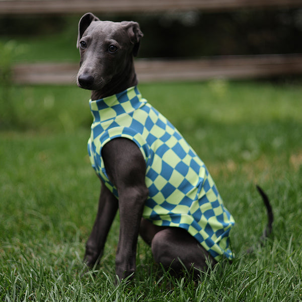 Green Wavy Checkers Sol Shirt