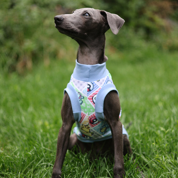 Pokédog Sol Shirt