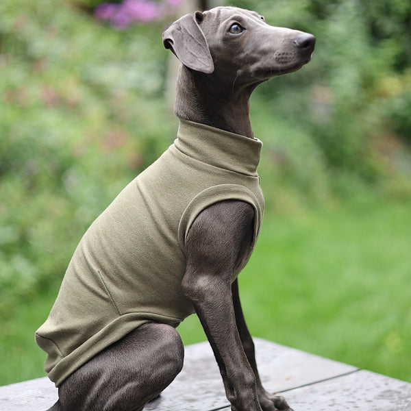 Heather Olive Everyday Shirt