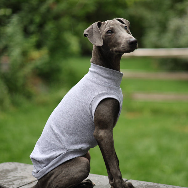 Heather Gray Everyday Shirt