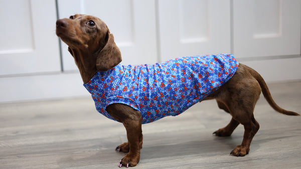 Ditsy Meadow Everyday Shirt