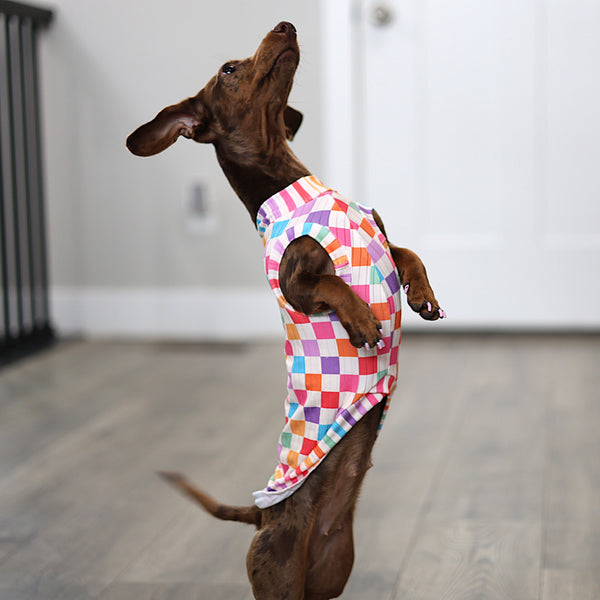 Colorful Checkers Canyon Shirt