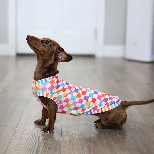 Colorful Checkers Canyon Shirt