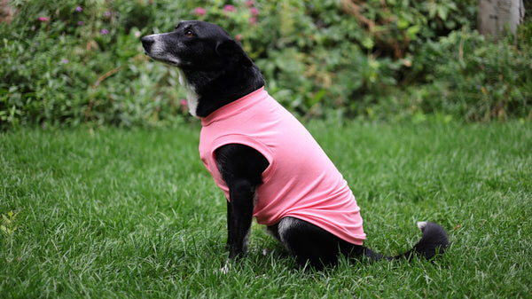 Heather Neon Pink Everyday Shirt
