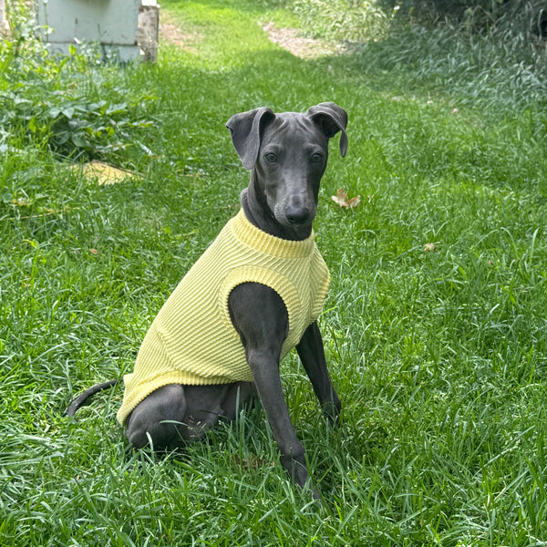 Butter Ridge Shirt