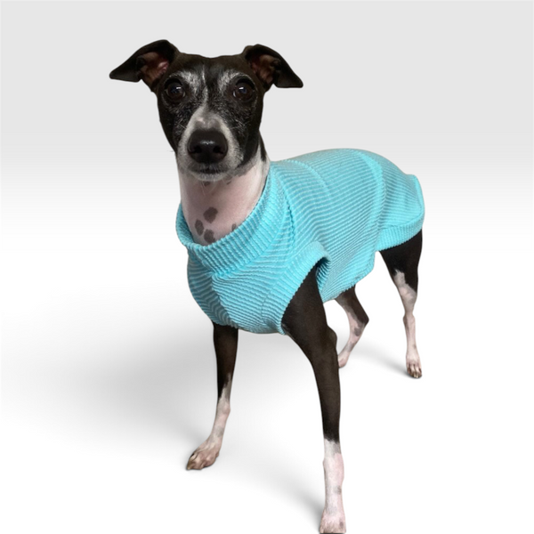 Seafoam Ridge Shirt