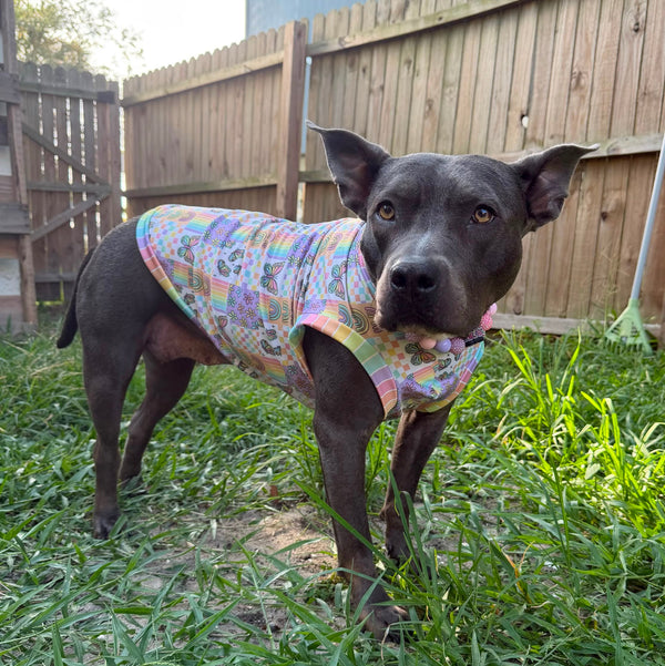 Flutter Patch Sol Shirt