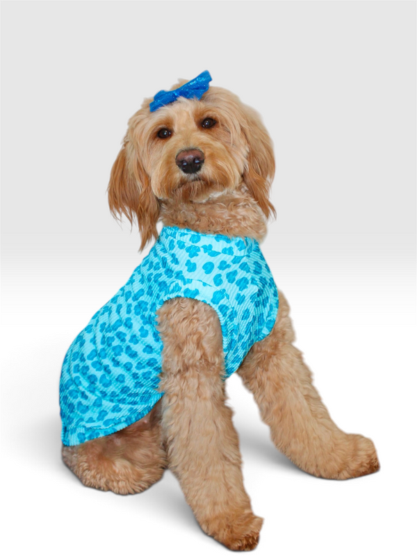 Blue Razz Leopard Ridge Shirt